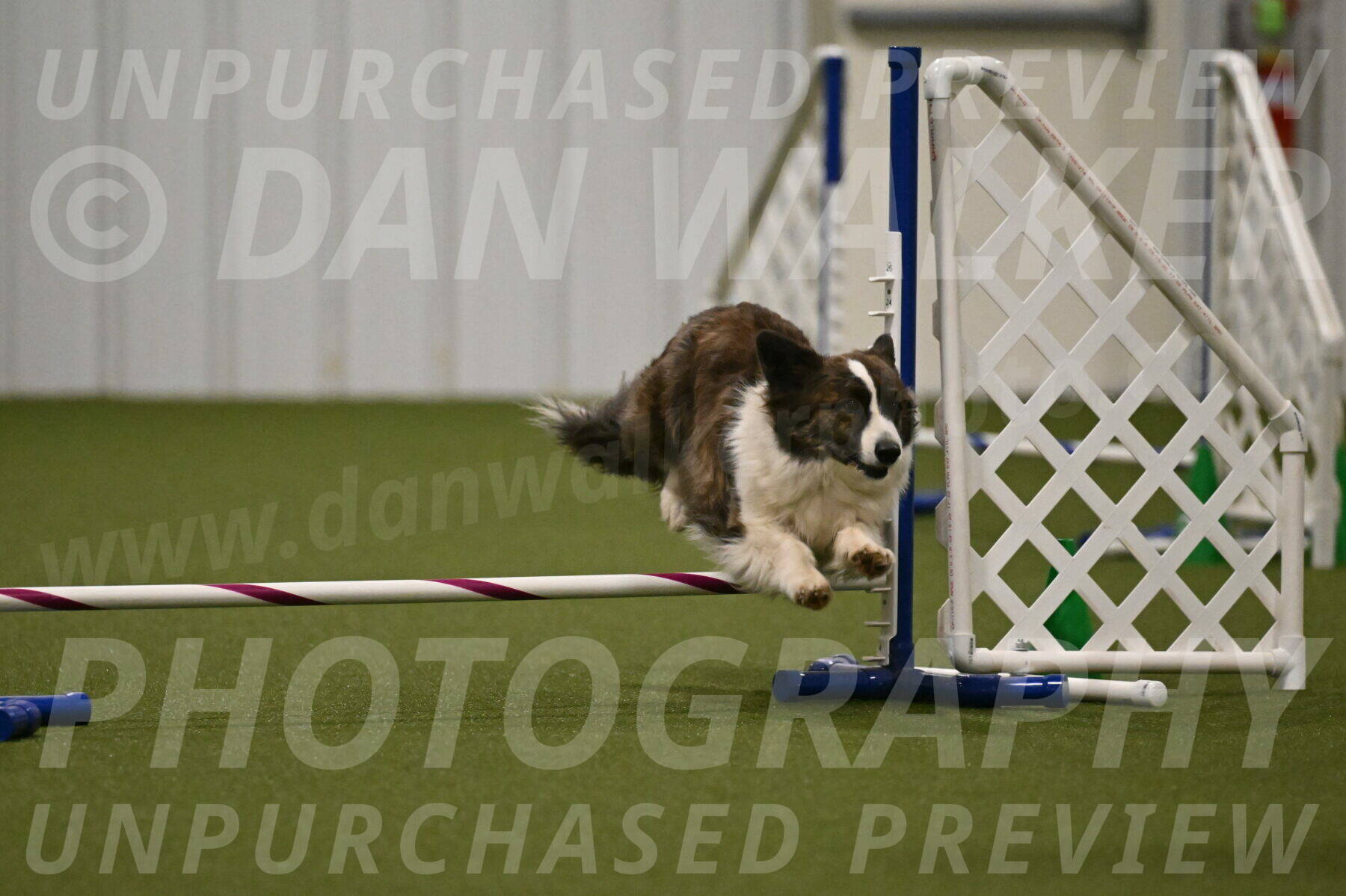 Jonny-Quest-Leslie-Masterson-11019