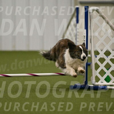 Jonny-Quest-Leslie-Masterson-11019