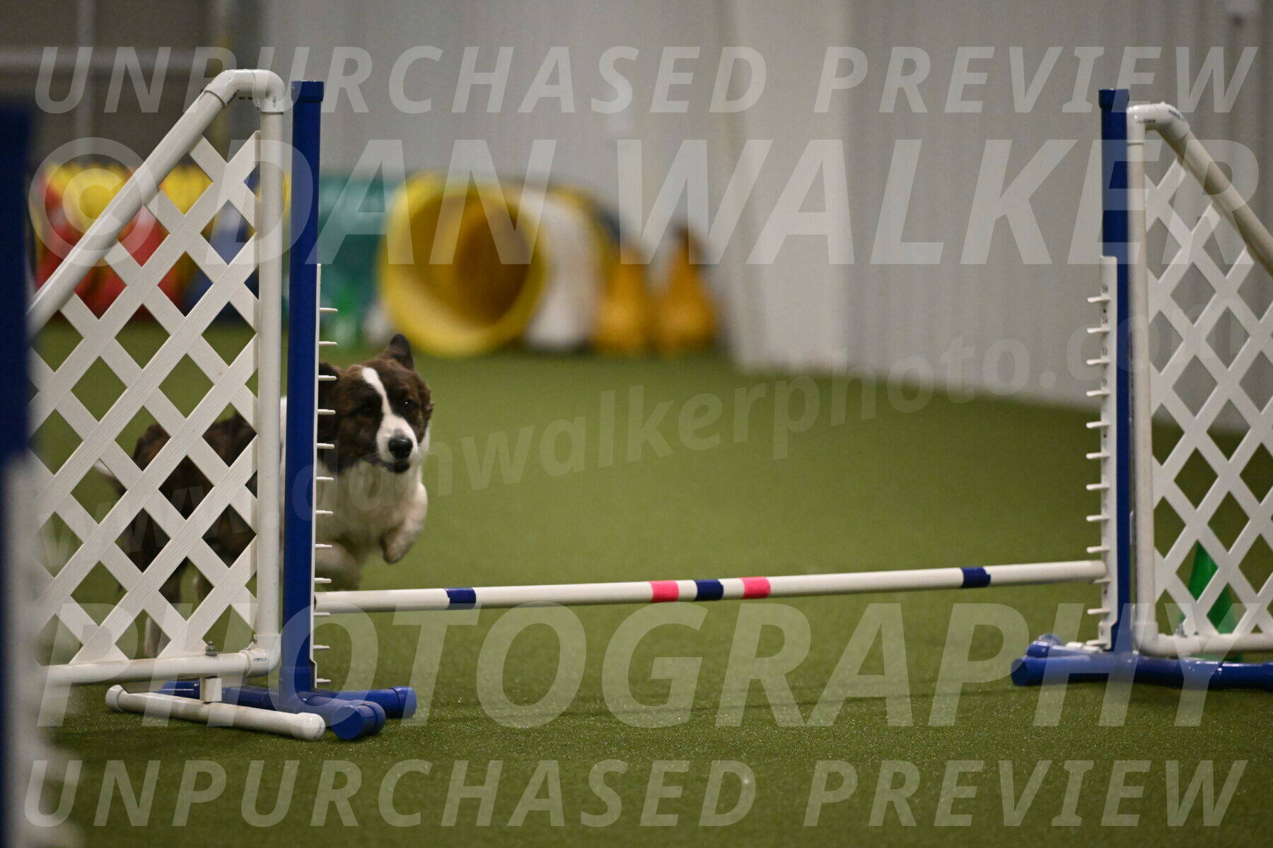 Jonny-Quest-Leslie-Masterson-11020