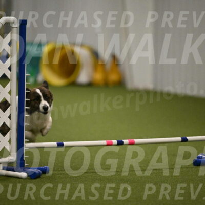 Jonny-Quest-Leslie-Masterson-11020