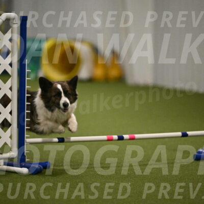 Jonny-Quest-Leslie-Masterson-11021