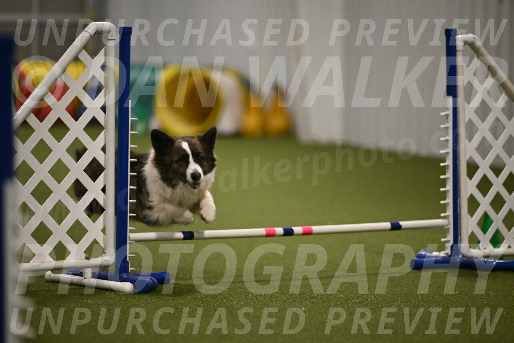 Jonny-Quest-Leslie-Masterson-11021