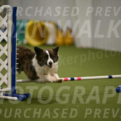 Jonny-Quest-Leslie-Masterson-11022