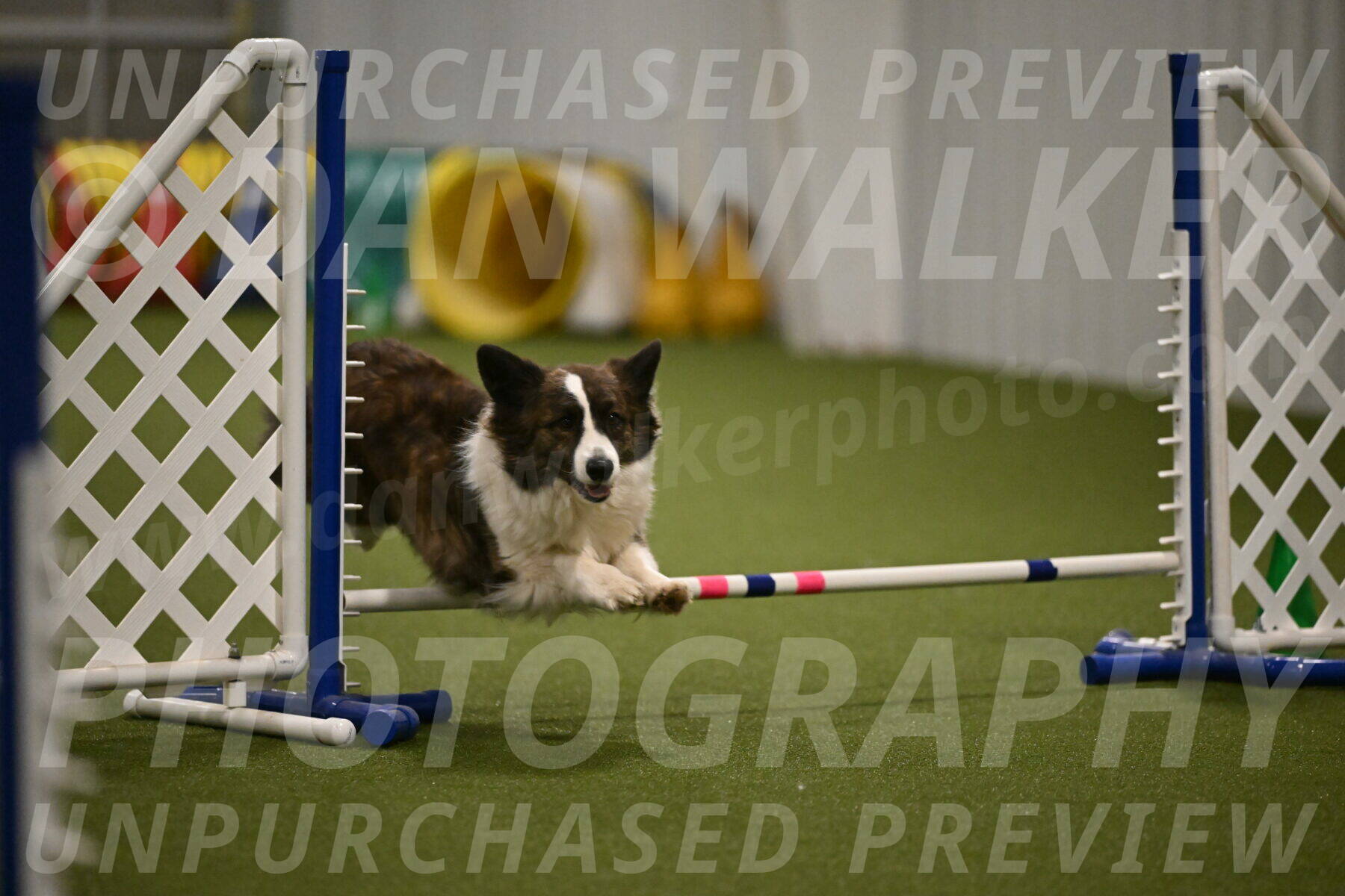 Jonny-Quest-Leslie-Masterson-11022