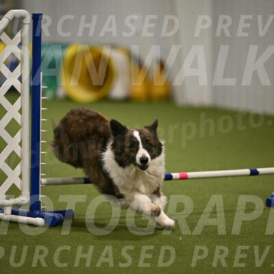 Jonny-Quest-Leslie-Masterson-11023