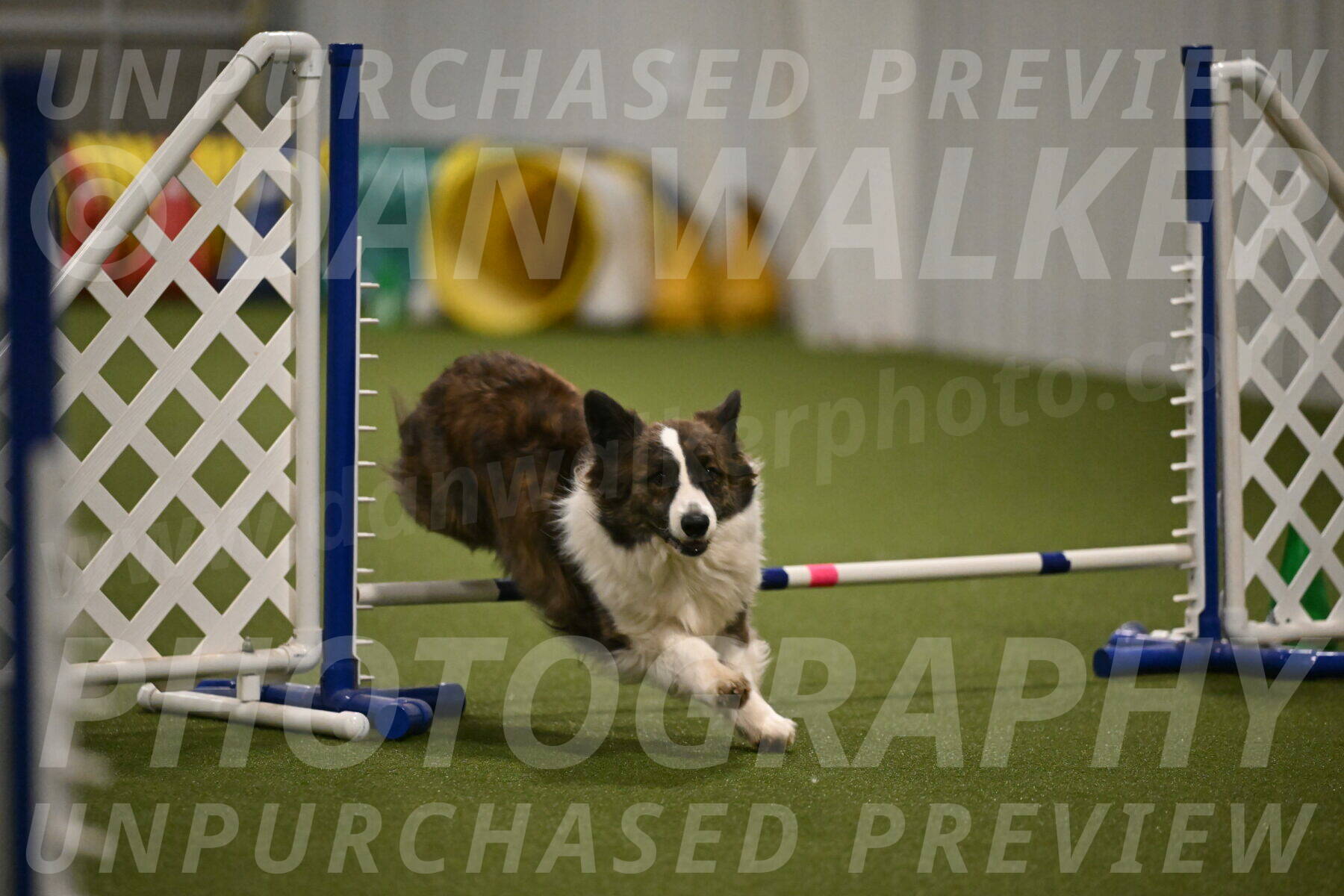 Jonny-Quest-Leslie-Masterson-11023