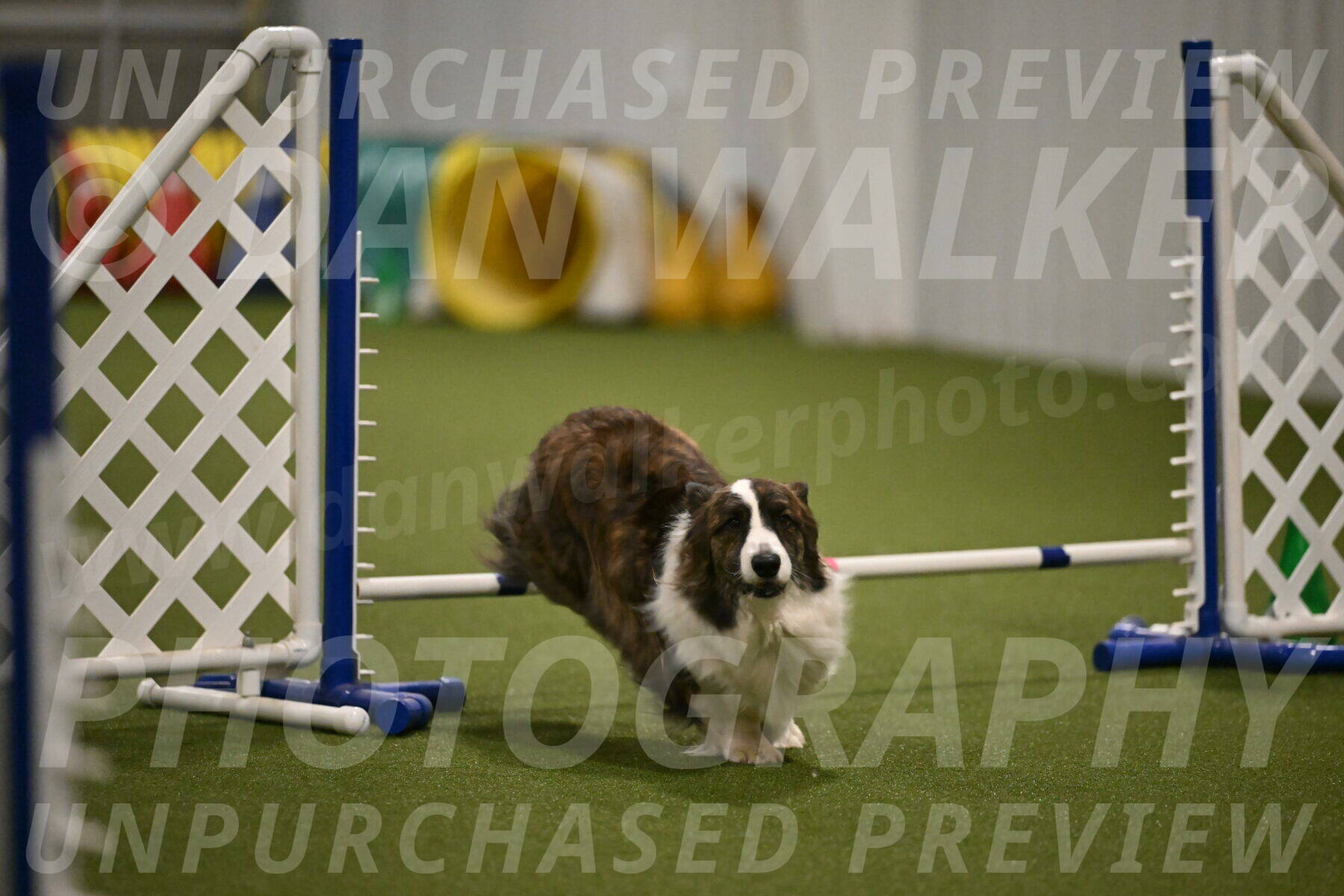 Jonny-Quest-Leslie-Masterson-11024