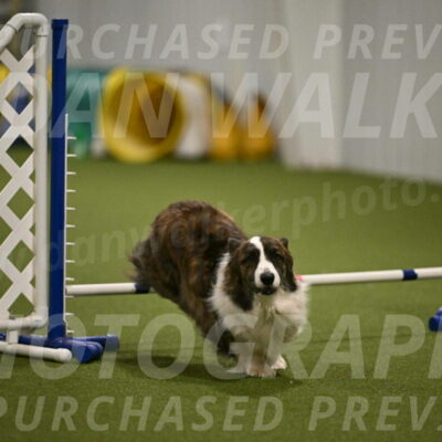 Jonny-Quest-Leslie-Masterson-11024