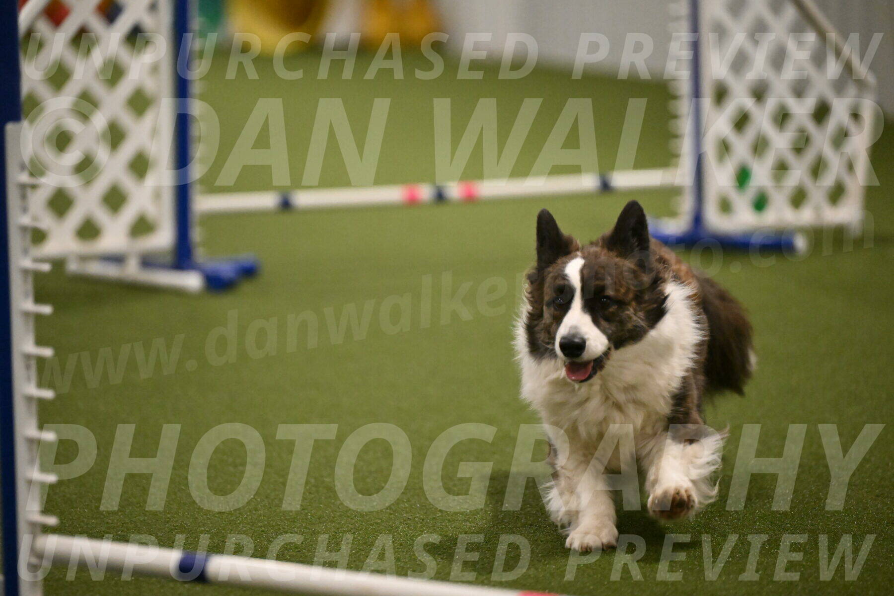 Jonny-Quest-Leslie-Masterson-11025