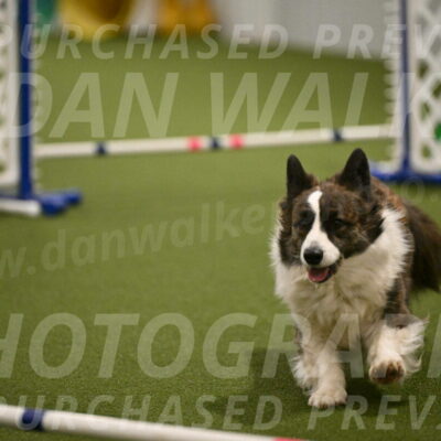 Jonny-Quest-Leslie-Masterson-11025