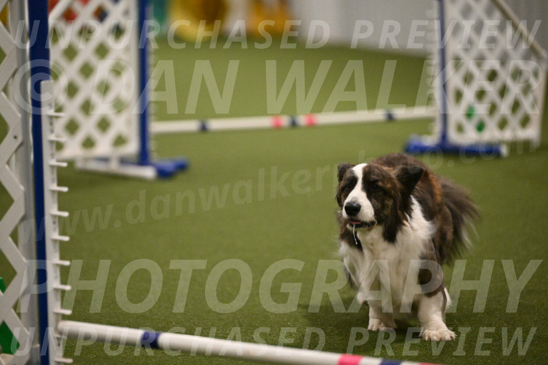 Jonny-Quest-Leslie-Masterson-11026