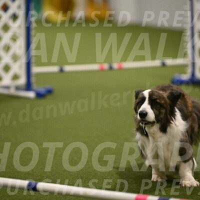 Jonny-Quest-Leslie-Masterson-11026