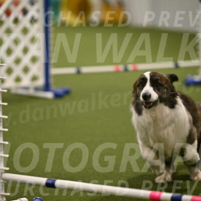 Jonny-Quest-Leslie-Masterson-11027