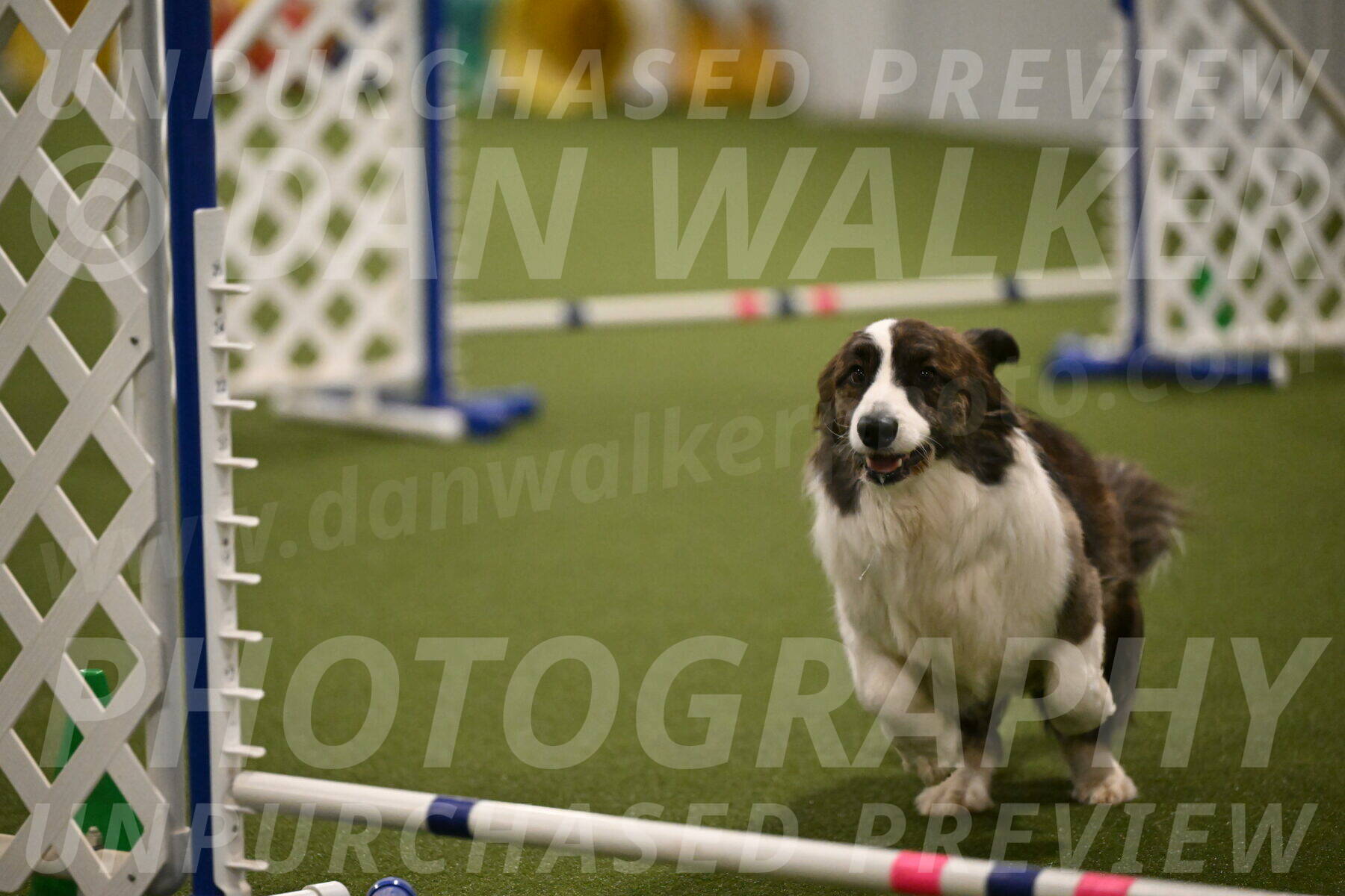 Jonny-Quest-Leslie-Masterson-11027