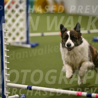 Jonny-Quest-Leslie-Masterson-11028