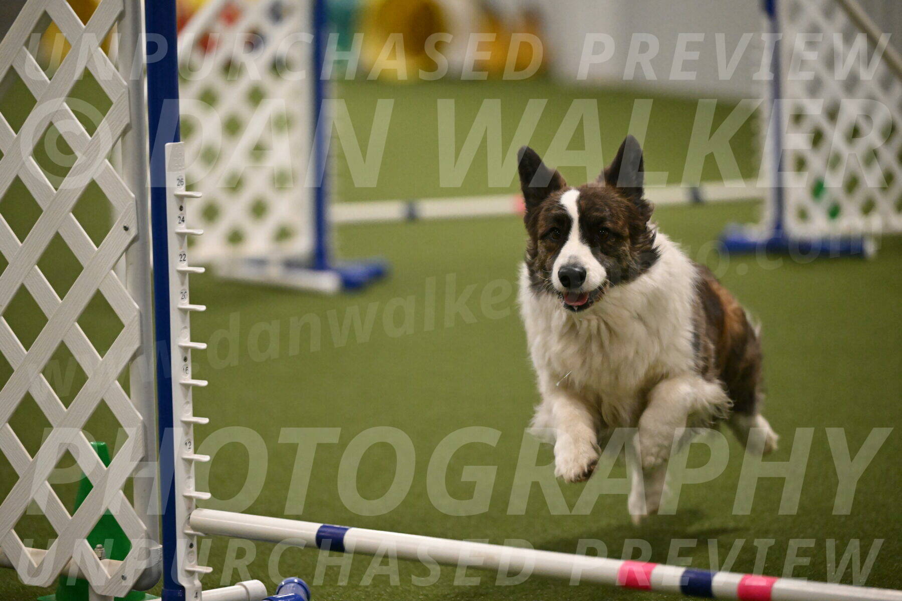 Jonny-Quest-Leslie-Masterson-11028