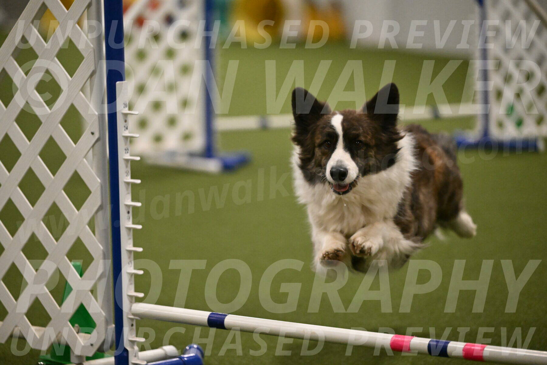 Jonny-Quest-Leslie-Masterson-11029