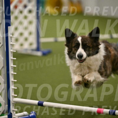 Jonny-Quest-Leslie-Masterson-11029