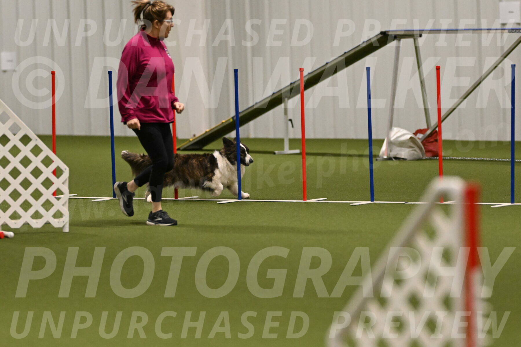 Jonny-Quest-Leslie-Masterson-11030