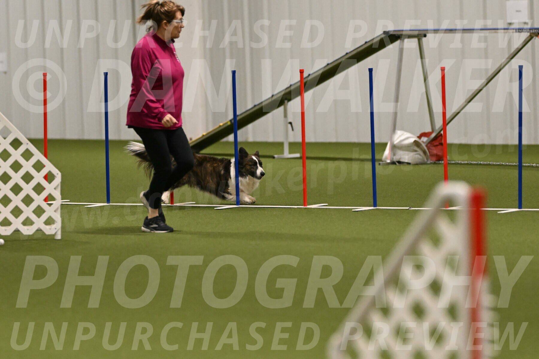 Jonny-Quest-Leslie-Masterson-11031