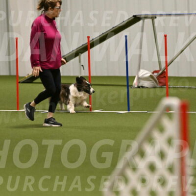 Jonny-Quest-Leslie-Masterson-11033