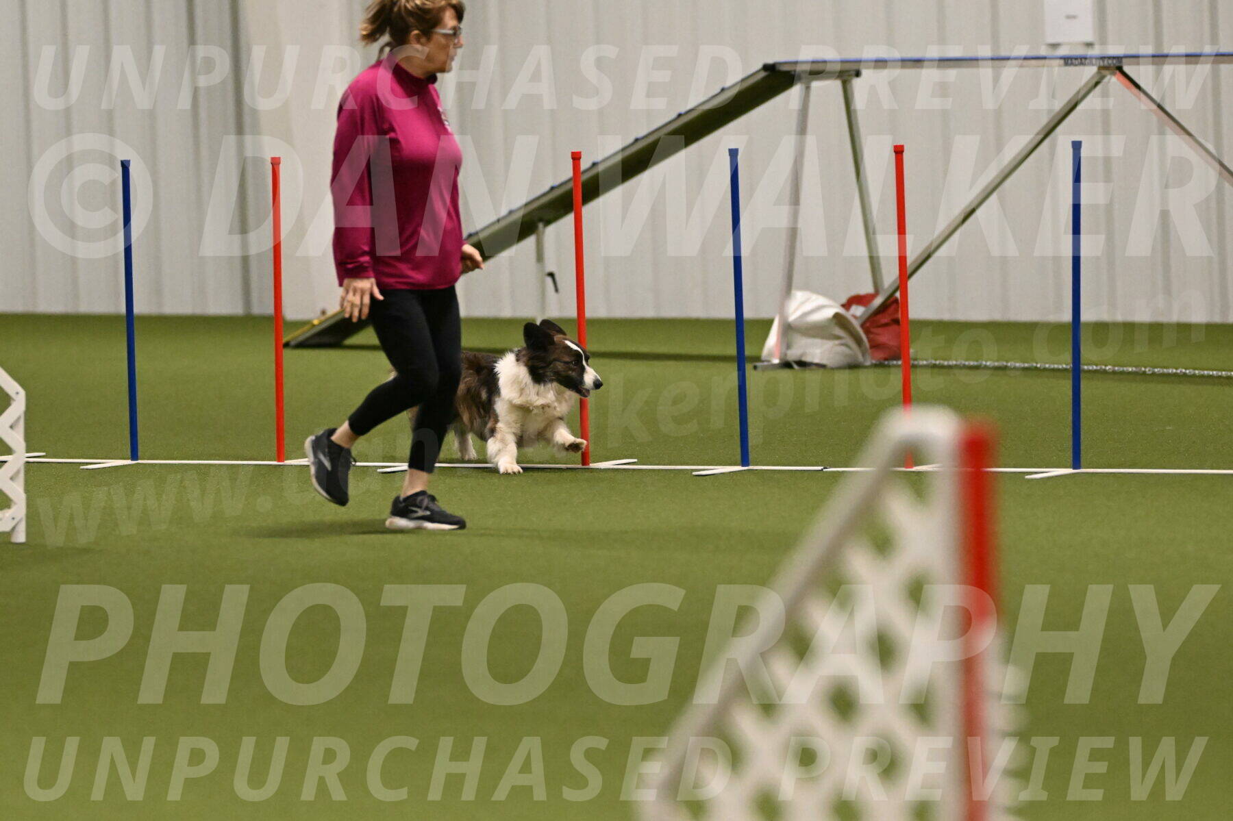 Jonny-Quest-Leslie-Masterson-11033