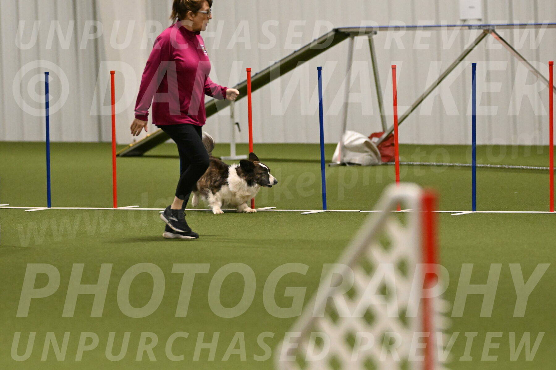 Jonny-Quest-Leslie-Masterson-11034