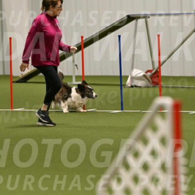 Jonny-Quest-Leslie-Masterson-11034