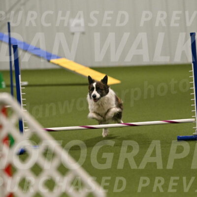 Jonny-Quest-Leslie-Masterson-11035