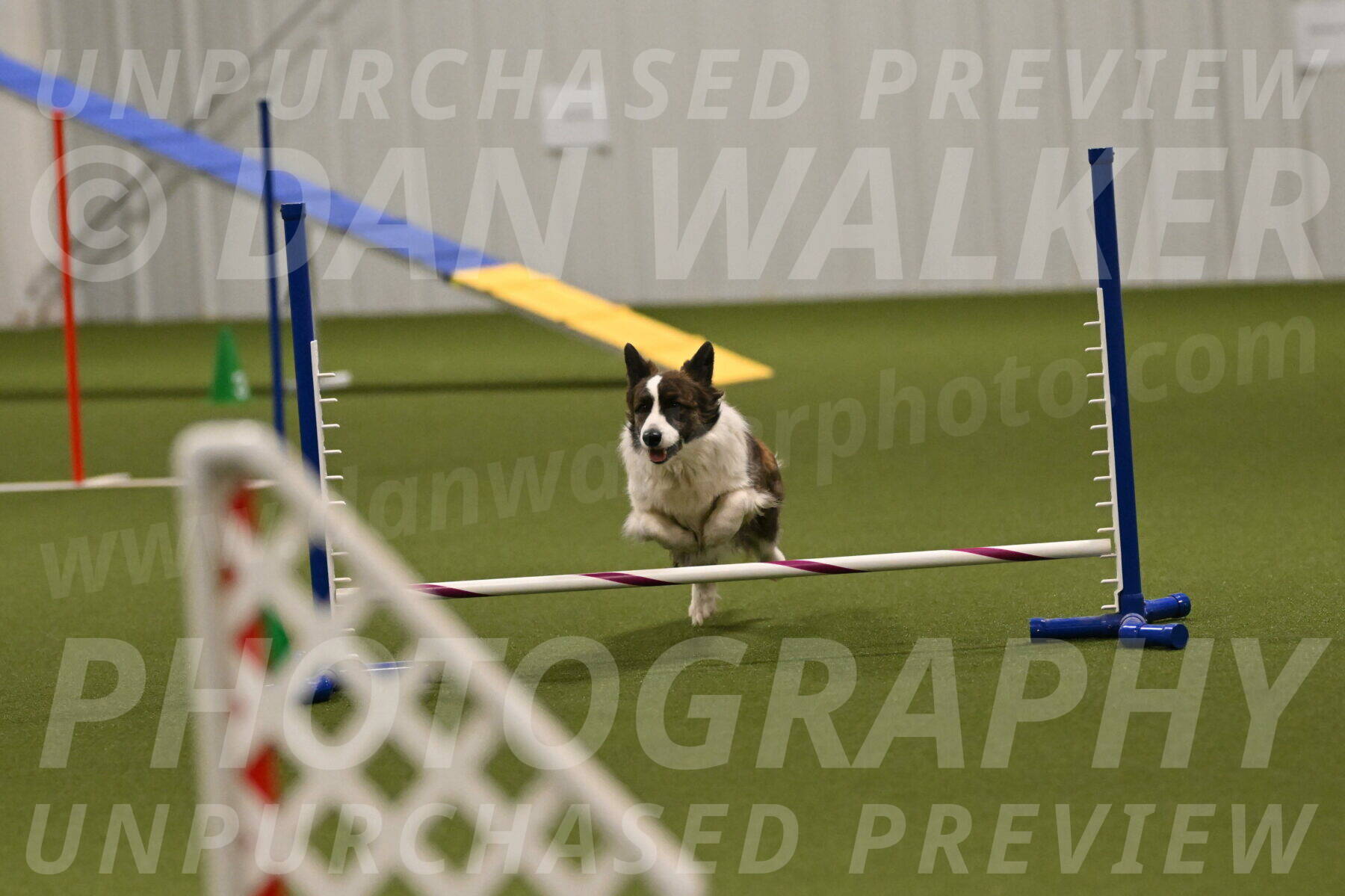 Jonny-Quest-Leslie-Masterson-11035