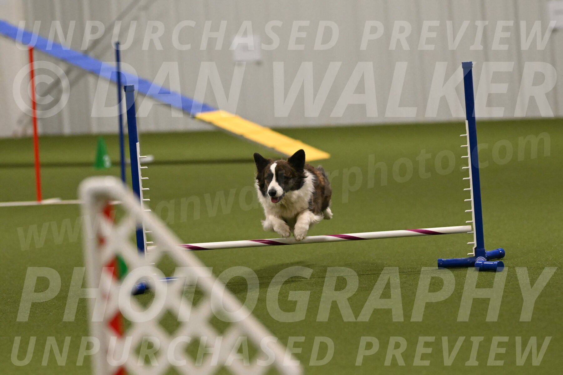 Jonny-Quest-Leslie-Masterson-11036