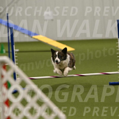 Jonny-Quest-Leslie-Masterson-11036