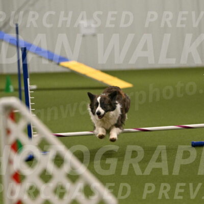 Jonny-Quest-Leslie-Masterson-11037