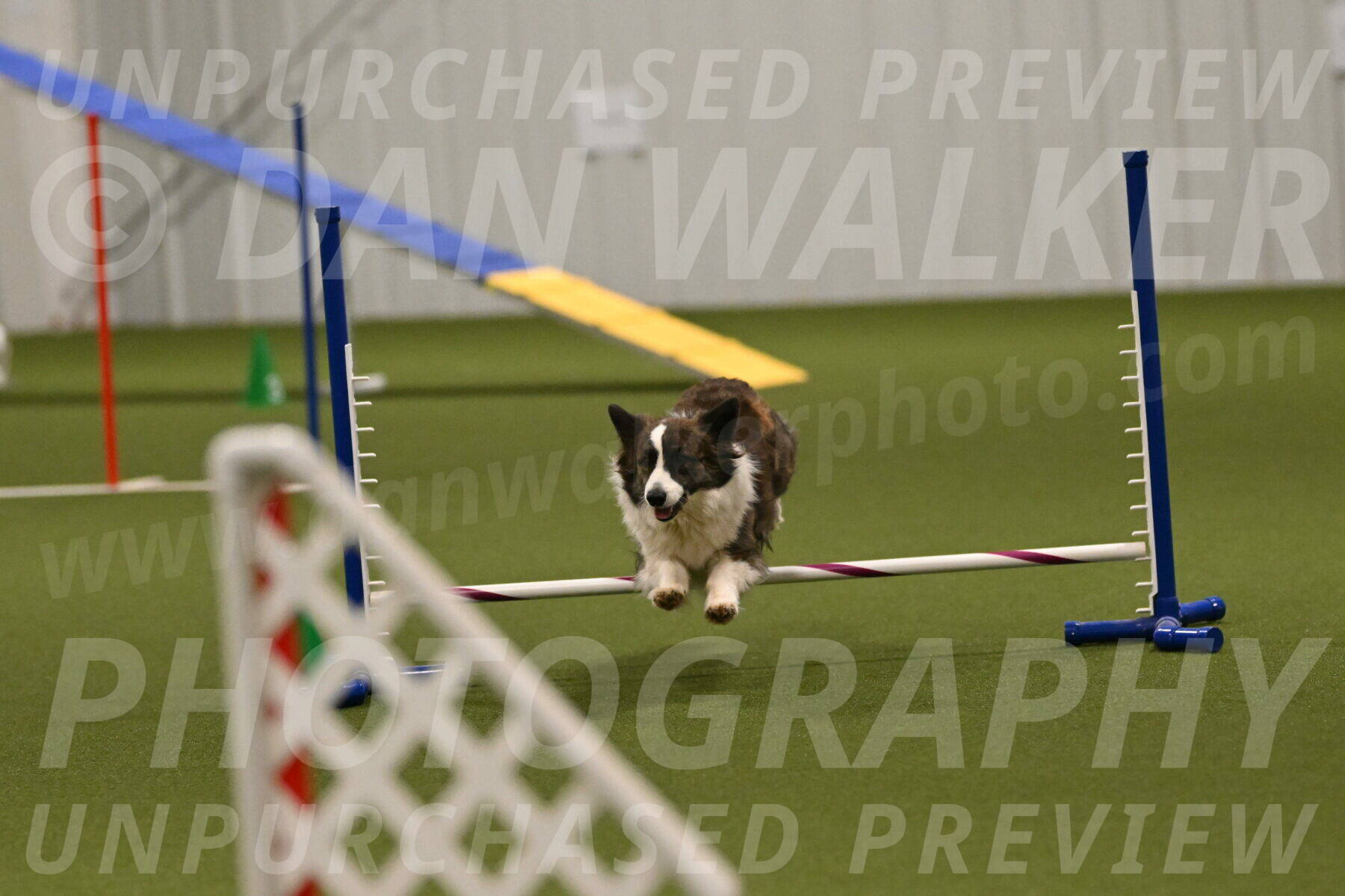 Jonny-Quest-Leslie-Masterson-11037