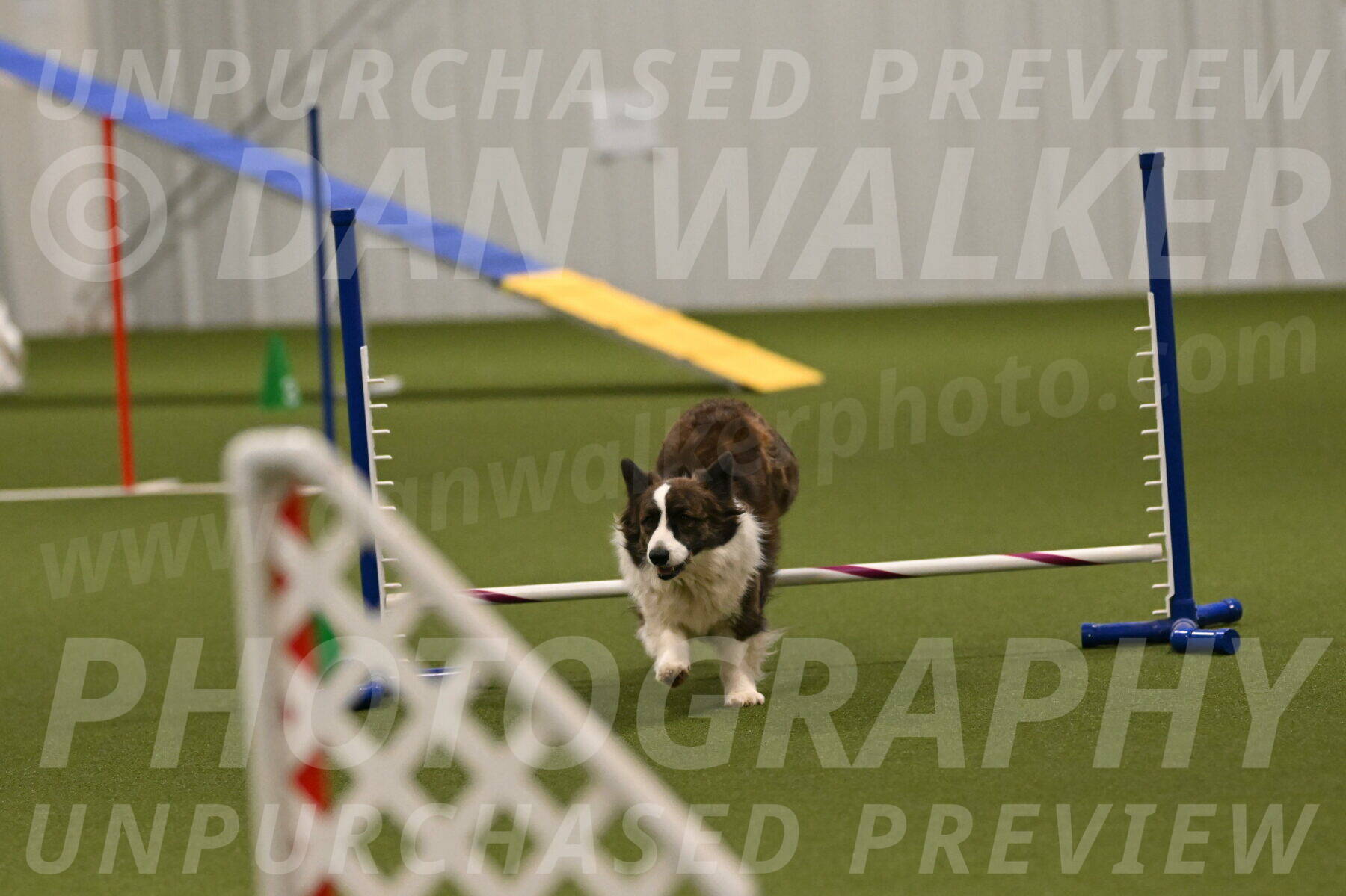 Jonny-Quest-Leslie-Masterson-11038