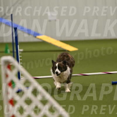 Jonny-Quest-Leslie-Masterson-11038