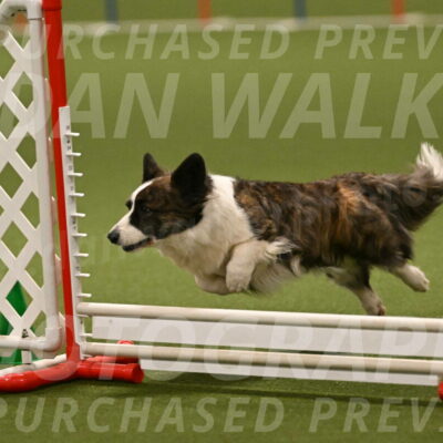 Jonny-Quest-Leslie-Masterson-11039