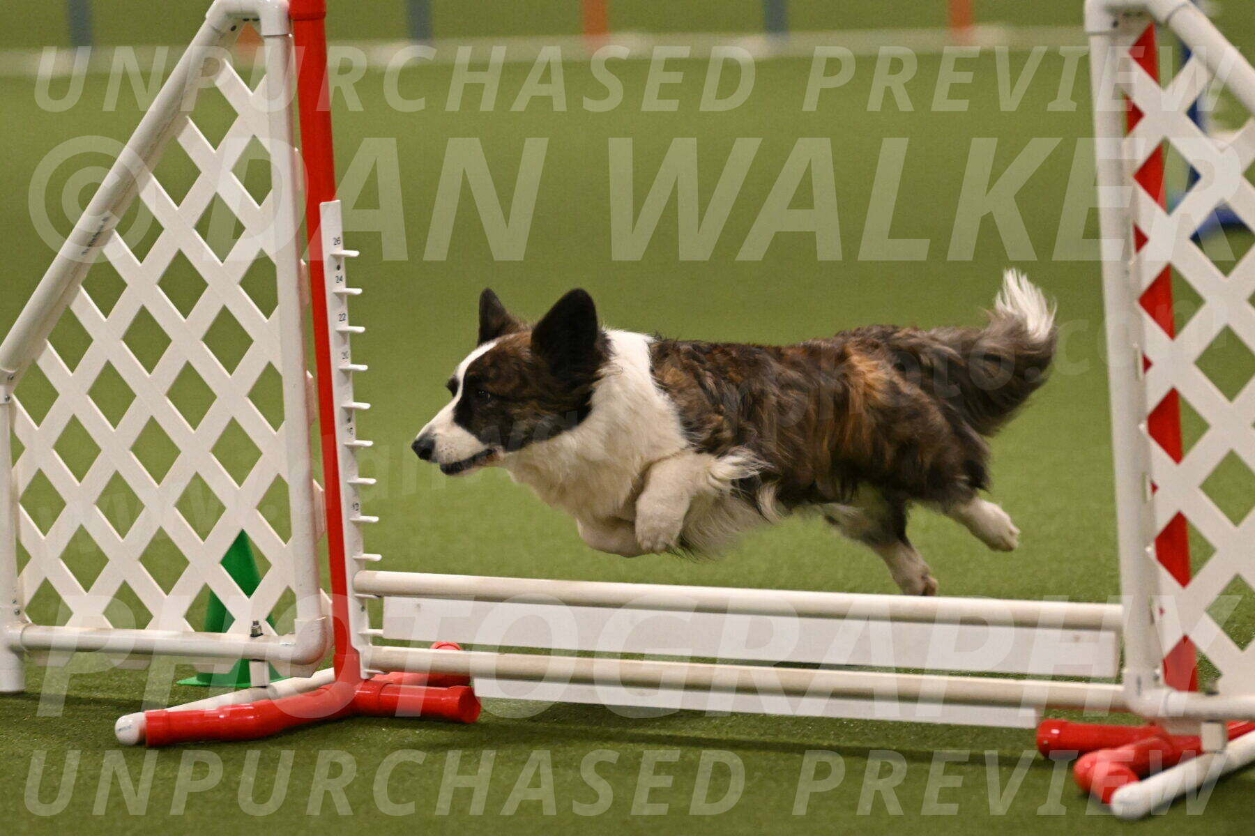 Jonny-Quest-Leslie-Masterson-11039