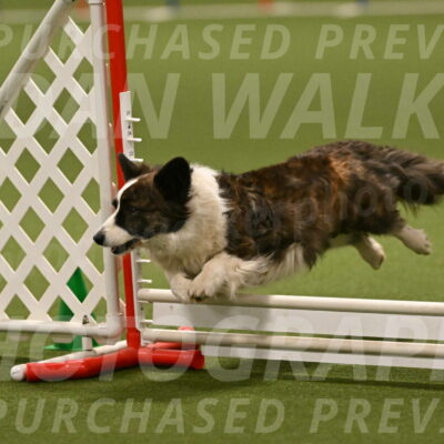 Jonny-Quest-Leslie-Masterson-11040