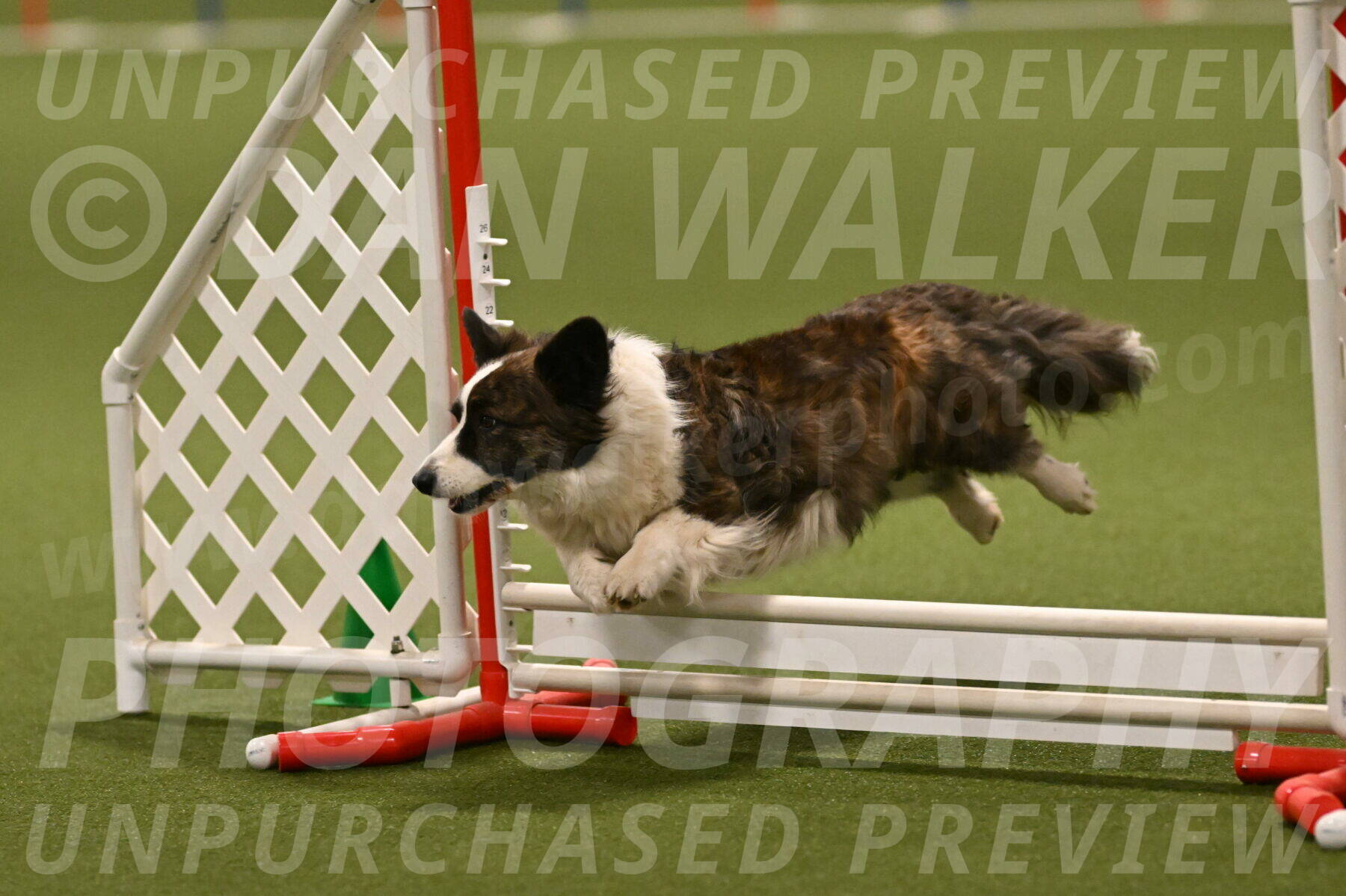 Jonny-Quest-Leslie-Masterson-11040