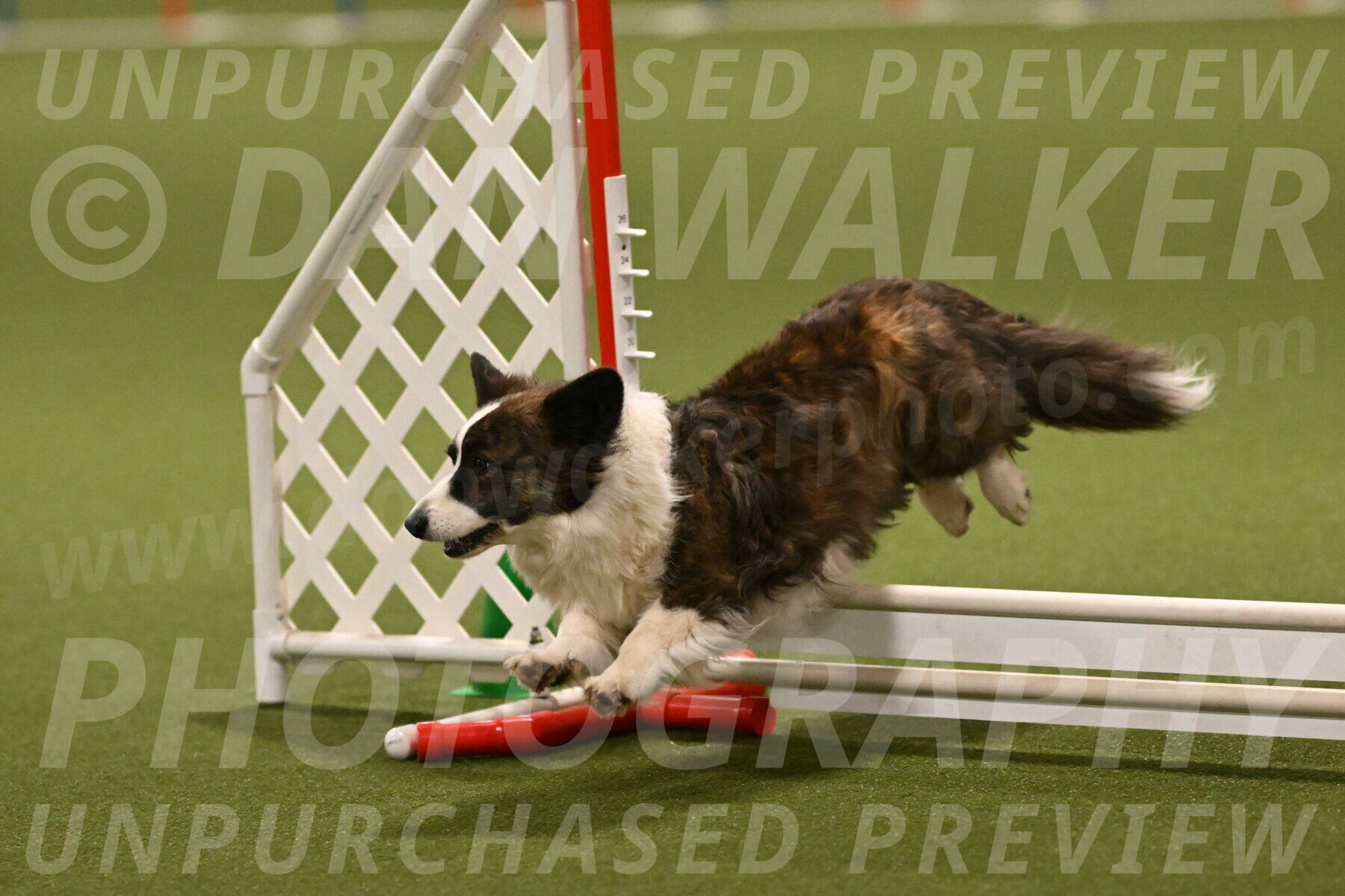 Jonny-Quest-Leslie-Masterson-11041