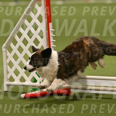 Jonny-Quest-Leslie-Masterson-11041