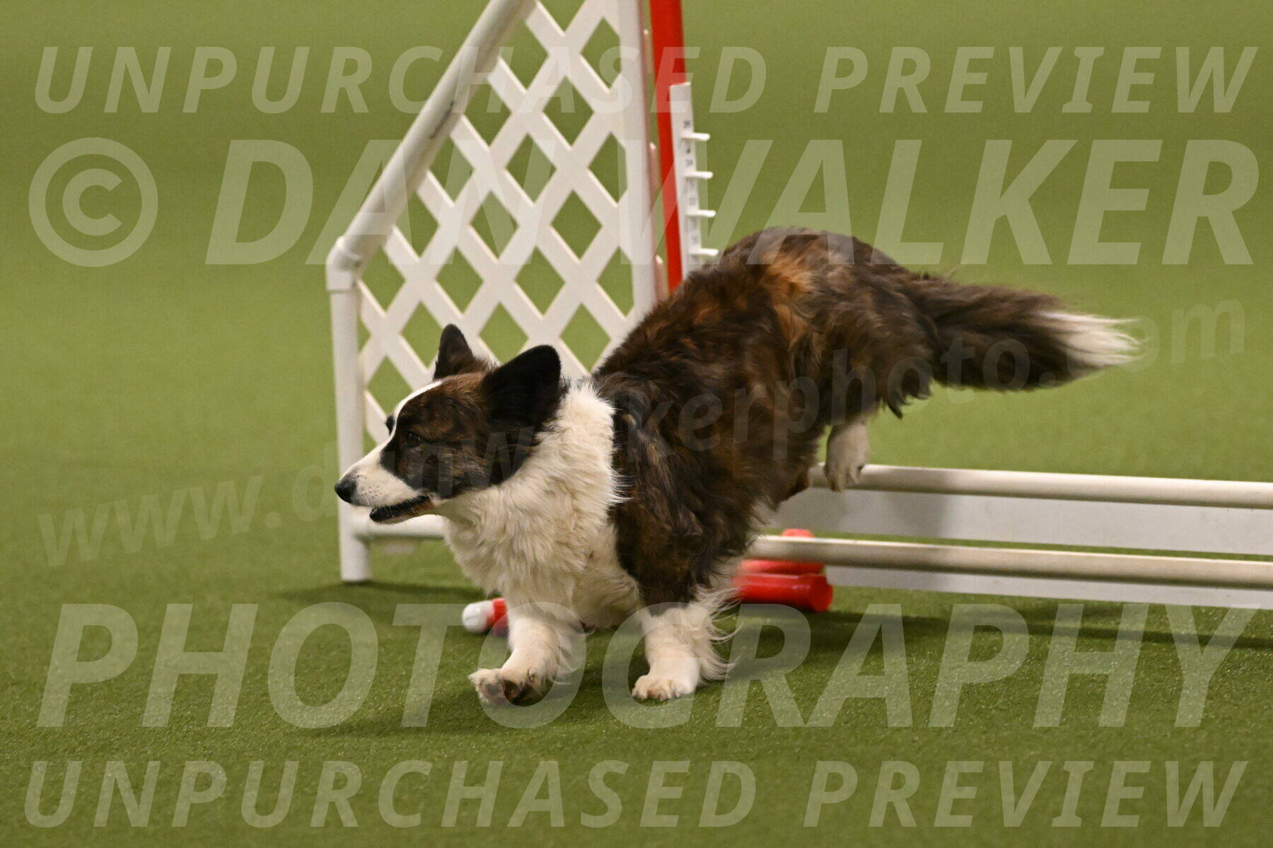 Jonny-Quest-Leslie-Masterson-11042