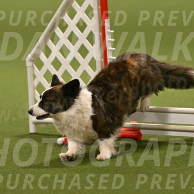 Jonny-Quest-Leslie-Masterson-11042