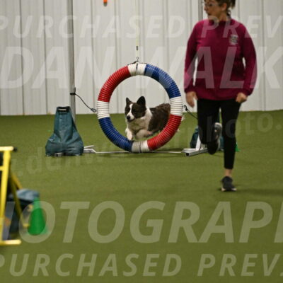 Jonny-Quest-Leslie-Masterson-11043