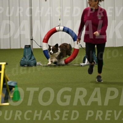 Jonny-Quest-Leslie-Masterson-11044