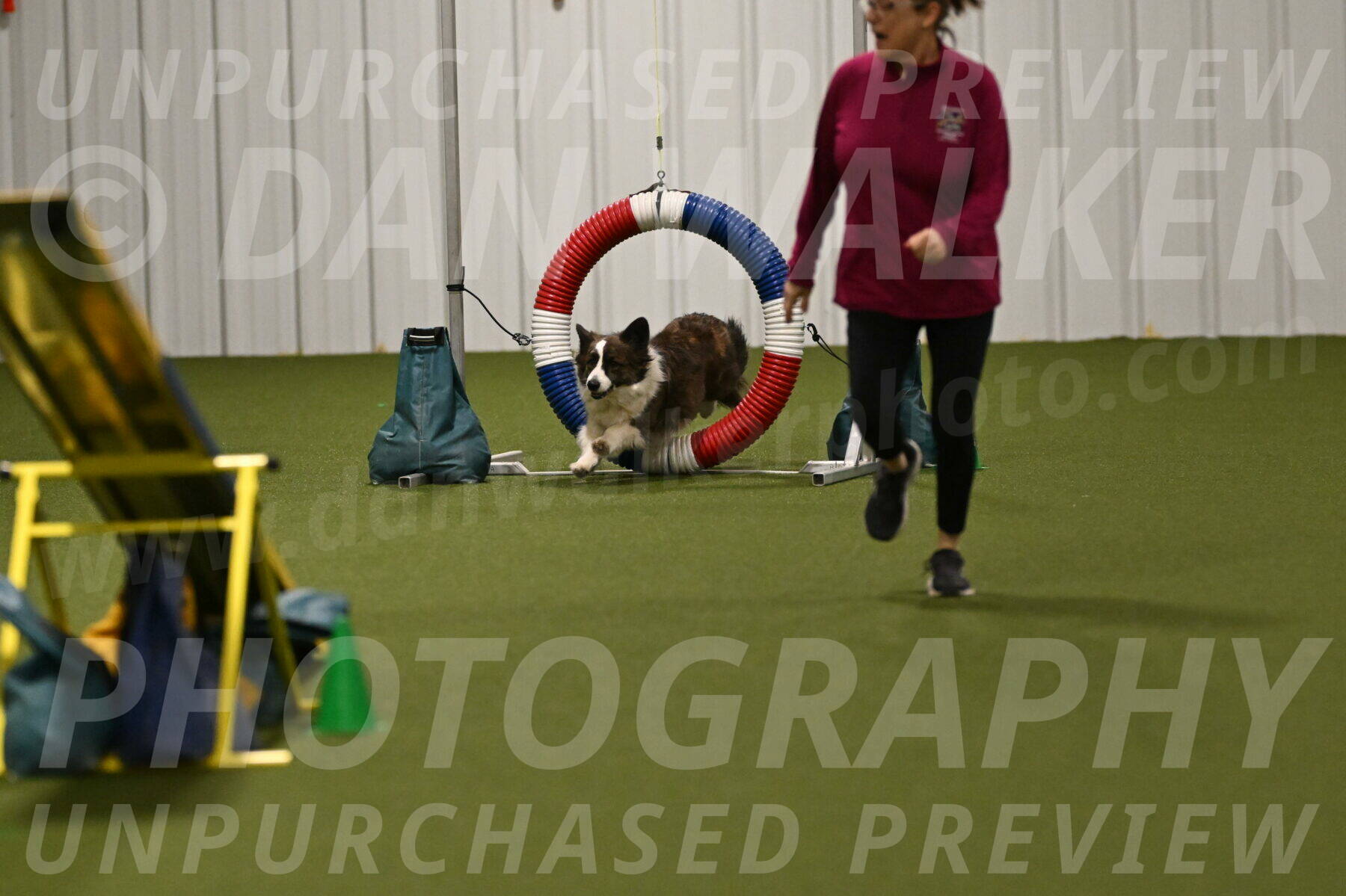 Jonny-Quest-Leslie-Masterson-11044