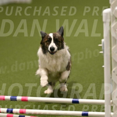 Jonny-Quest-Leslie-Masterson-11045