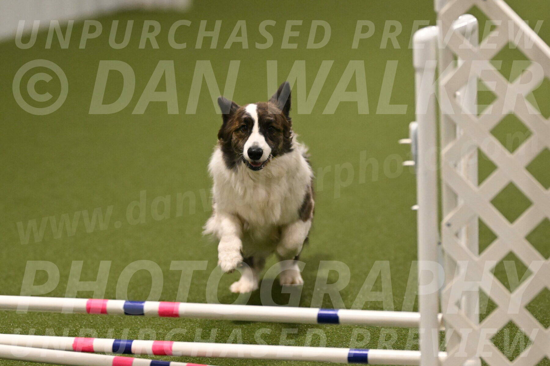 Jonny-Quest-Leslie-Masterson-11045