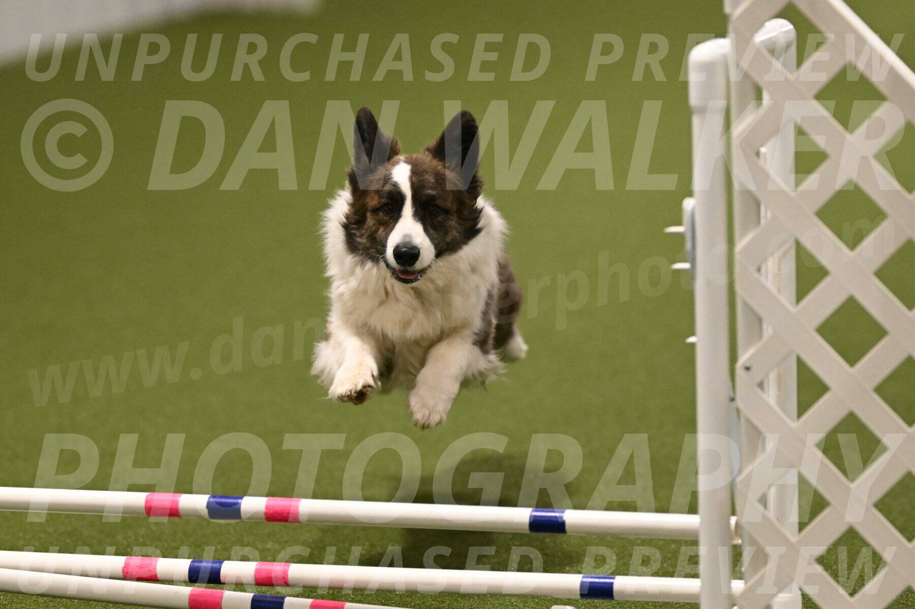 Jonny-Quest-Leslie-Masterson-11046